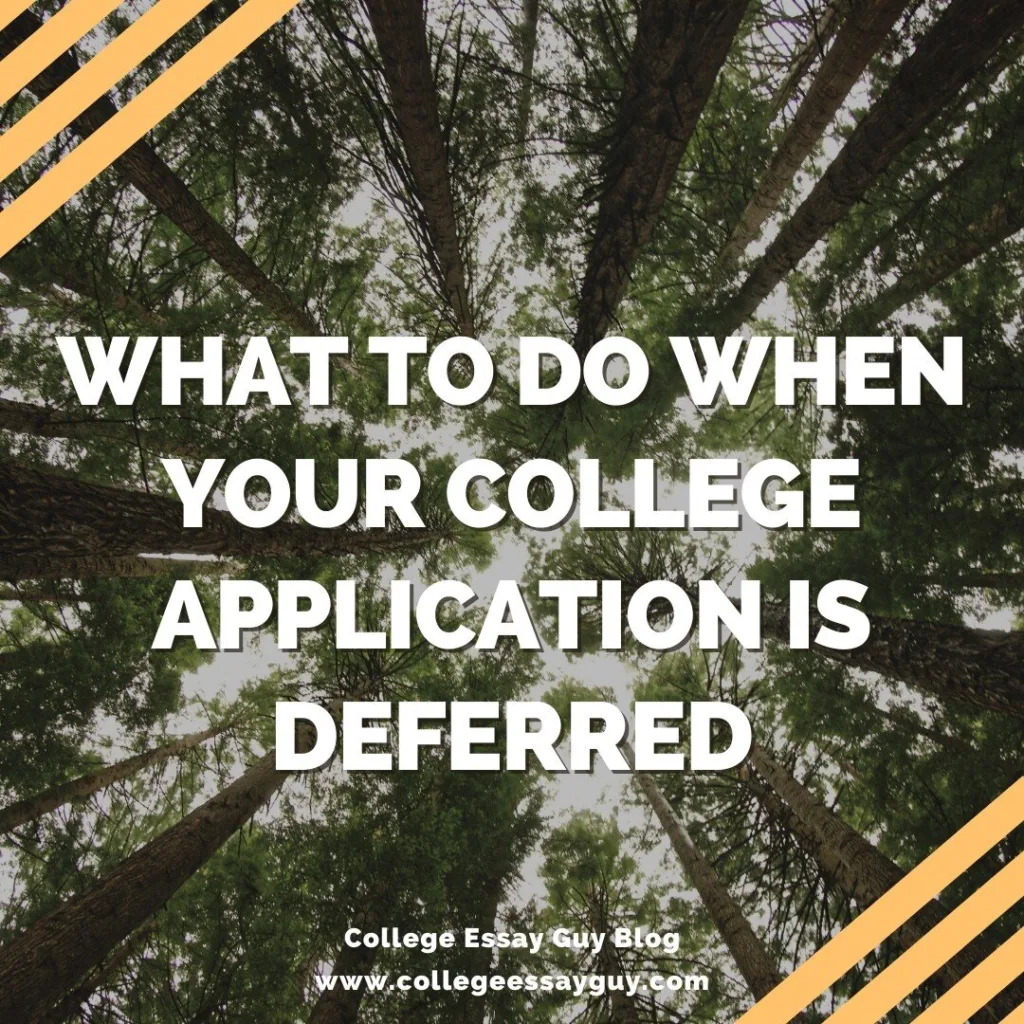Tall trees viewed from below with text overlay: "What to do when your college application is deferred. College Essay Guy Blog www.collegeessayguy.com.
