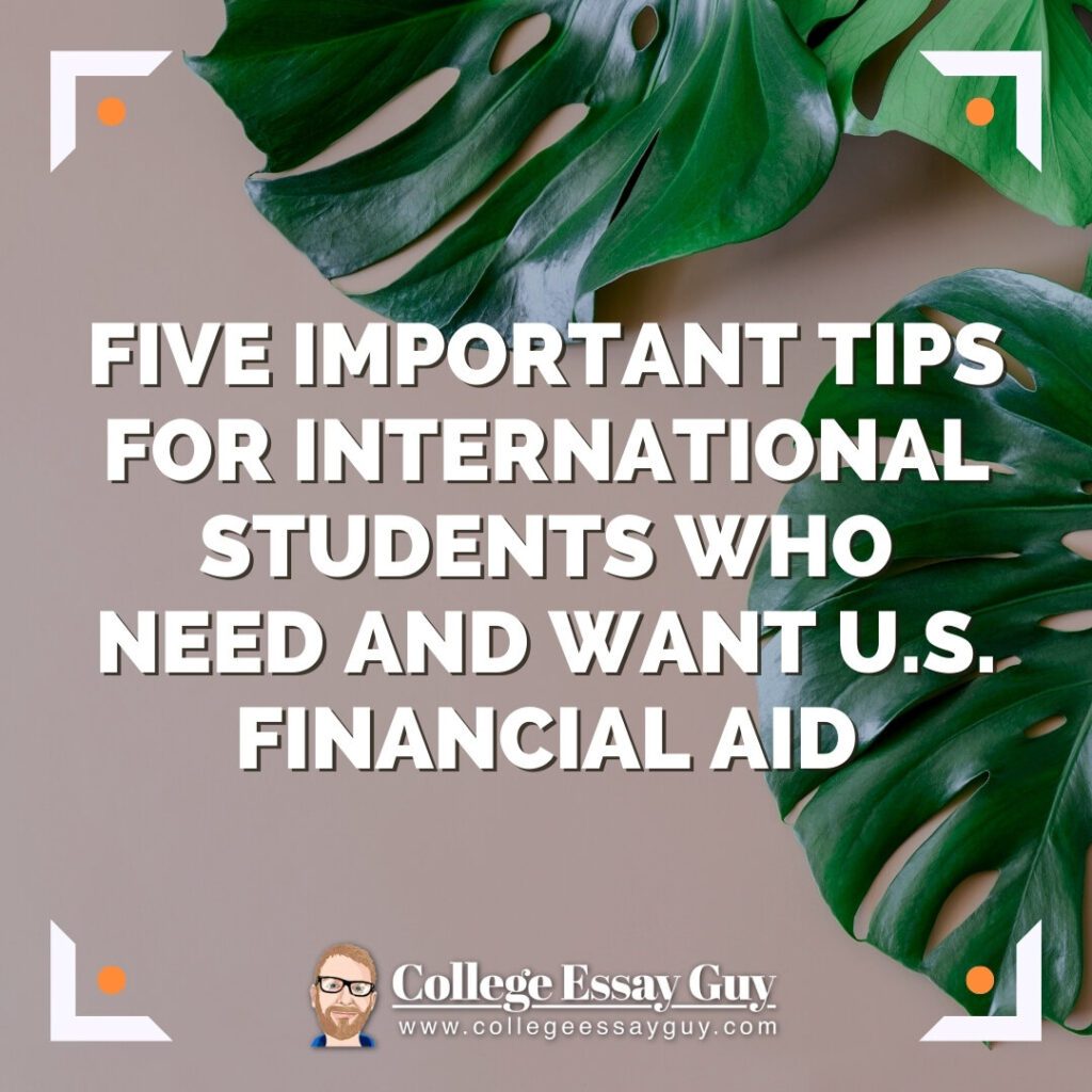 Text over green leaves reads: "Five important tips for international students who need and want U.S. financial aid." College Essay Guy logo at the bottom.