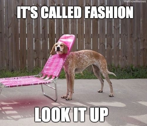 What to Take to a College Interview