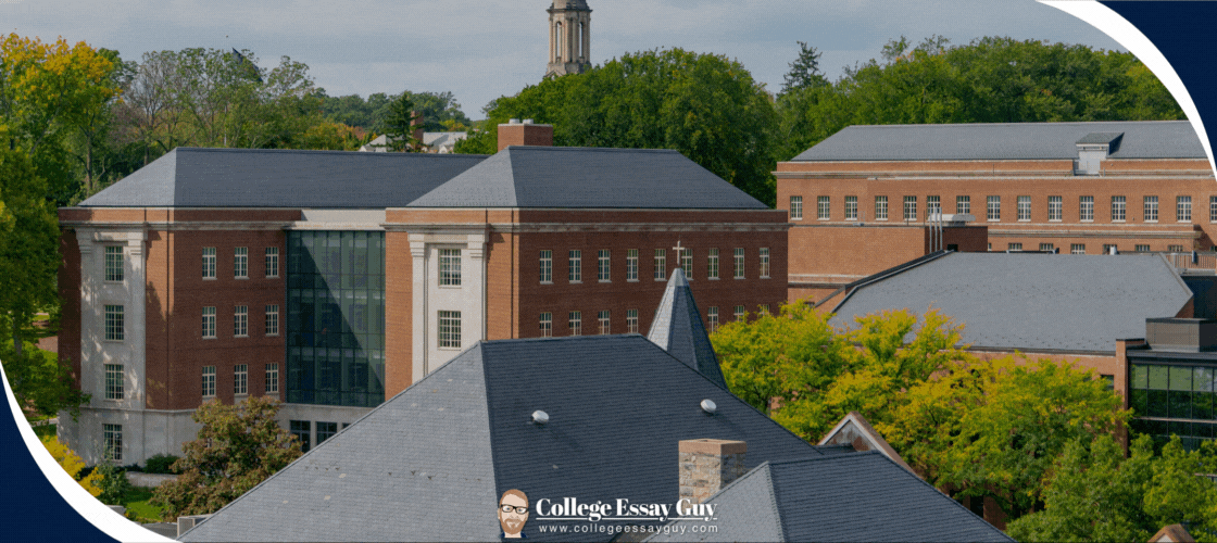 psu admission statistics