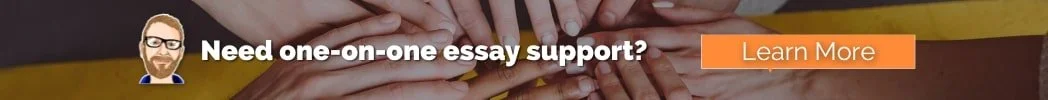 Banner ad offering one-on-one College Essay Guy essay support